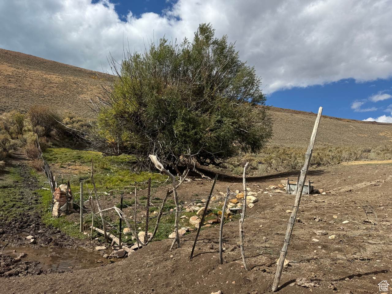  Address Not Published - Photo 1