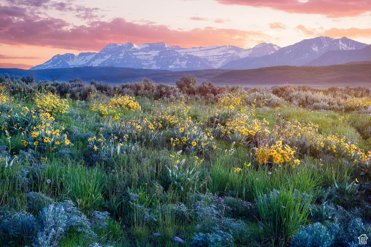 1115 Hoyt Peak Ranch Rd - Photo 1