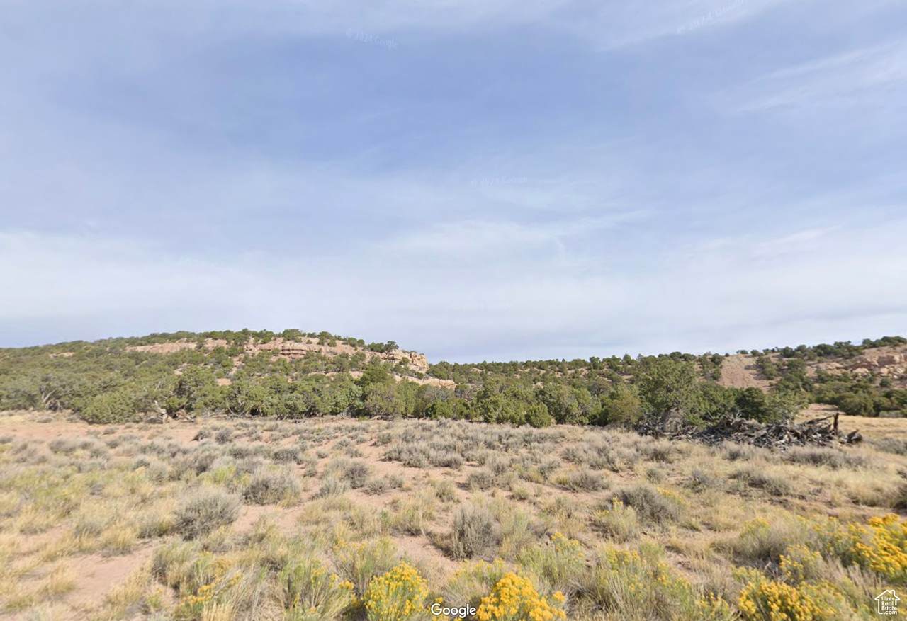  Address Not Published - Photo 1