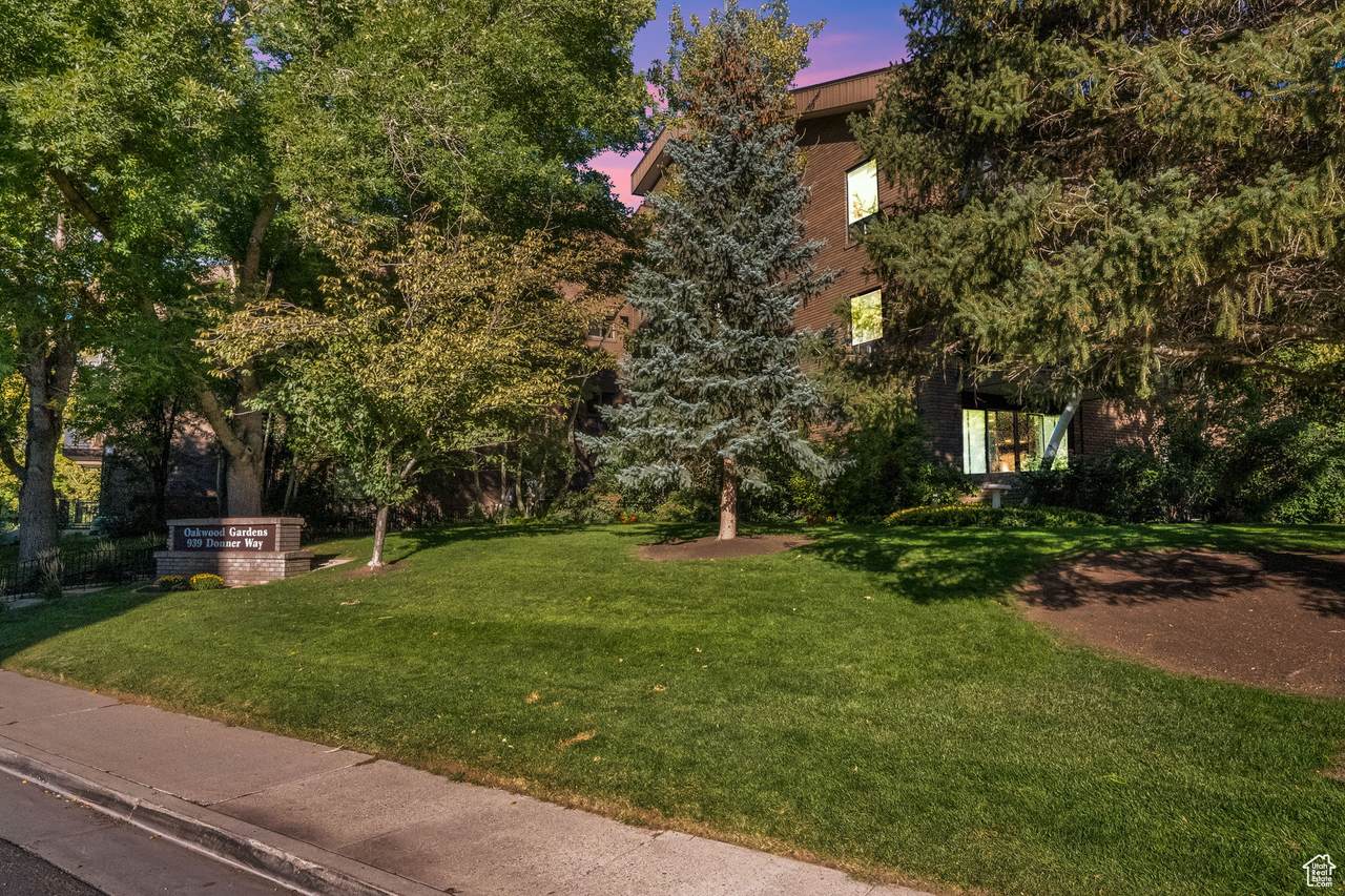 939 Donner Way - Photo 1