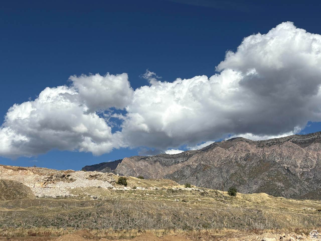 https://bt-photos.global.ssl.fastly.net/wasatch/1280_boomver_1_2117480-1.jpg