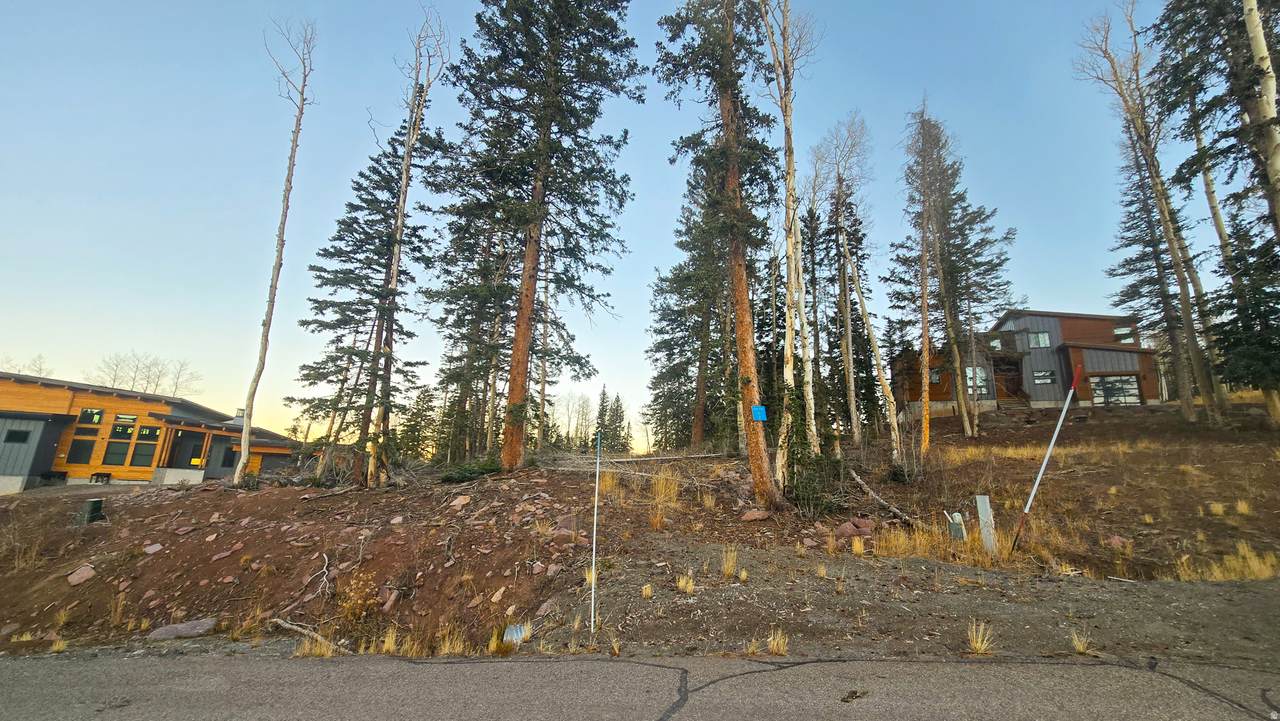 https://bt-photos.global.ssl.fastly.net/wasatch/1280_boomver_1_2119919-1.jpg