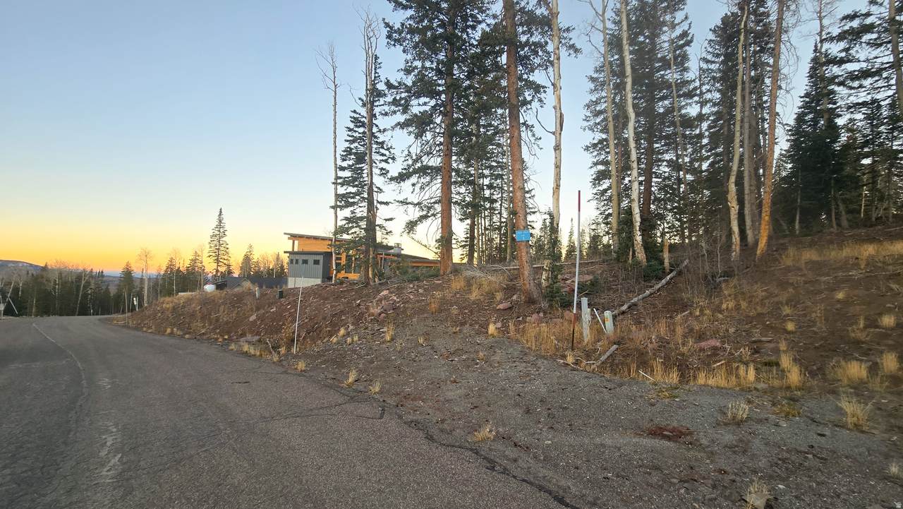 https://bt-photos.global.ssl.fastly.net/wasatch/1280_boomver_1_2119919-1.jpg
