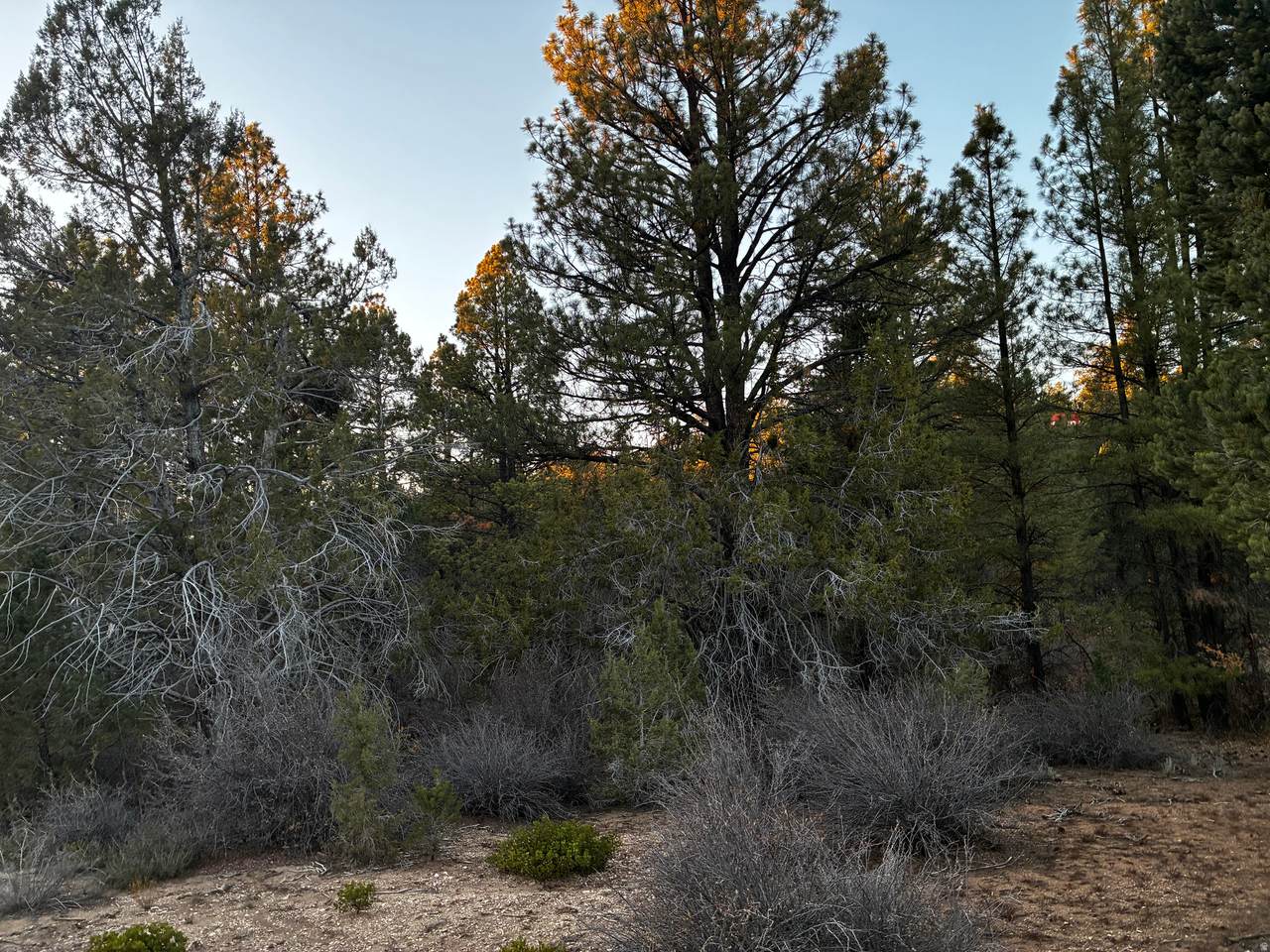 https://bt-photos.global.ssl.fastly.net/wasatch/1280_boomver_1_2120880-1.jpg