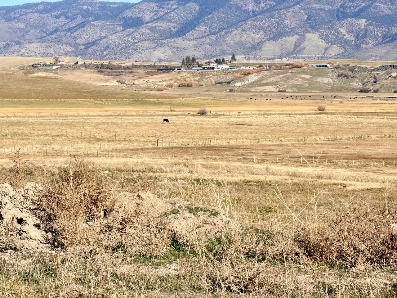  River Rd - Photo 1
