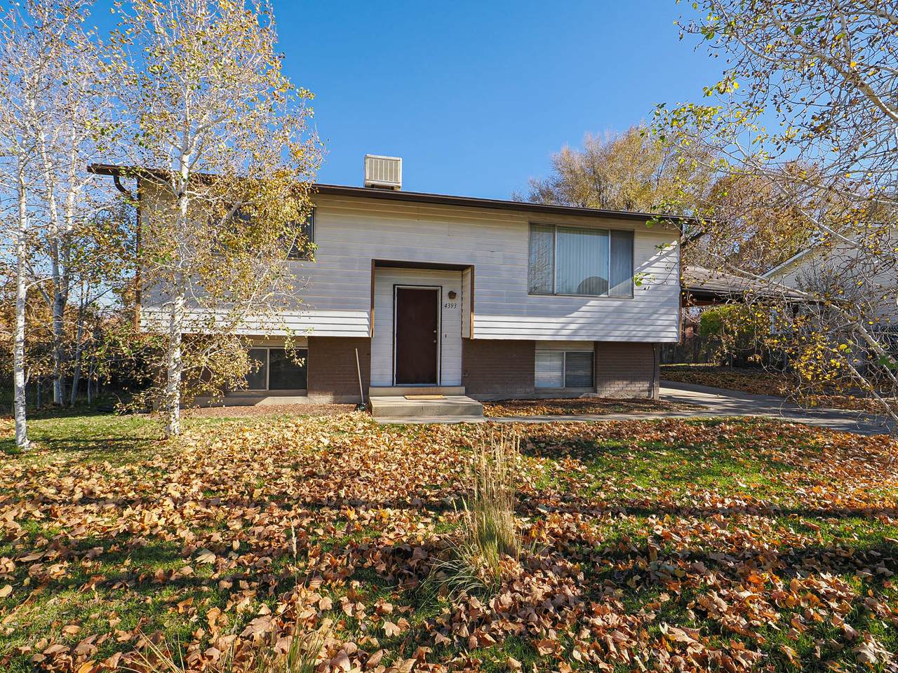 4393 Wormwood Dr - Photo 1