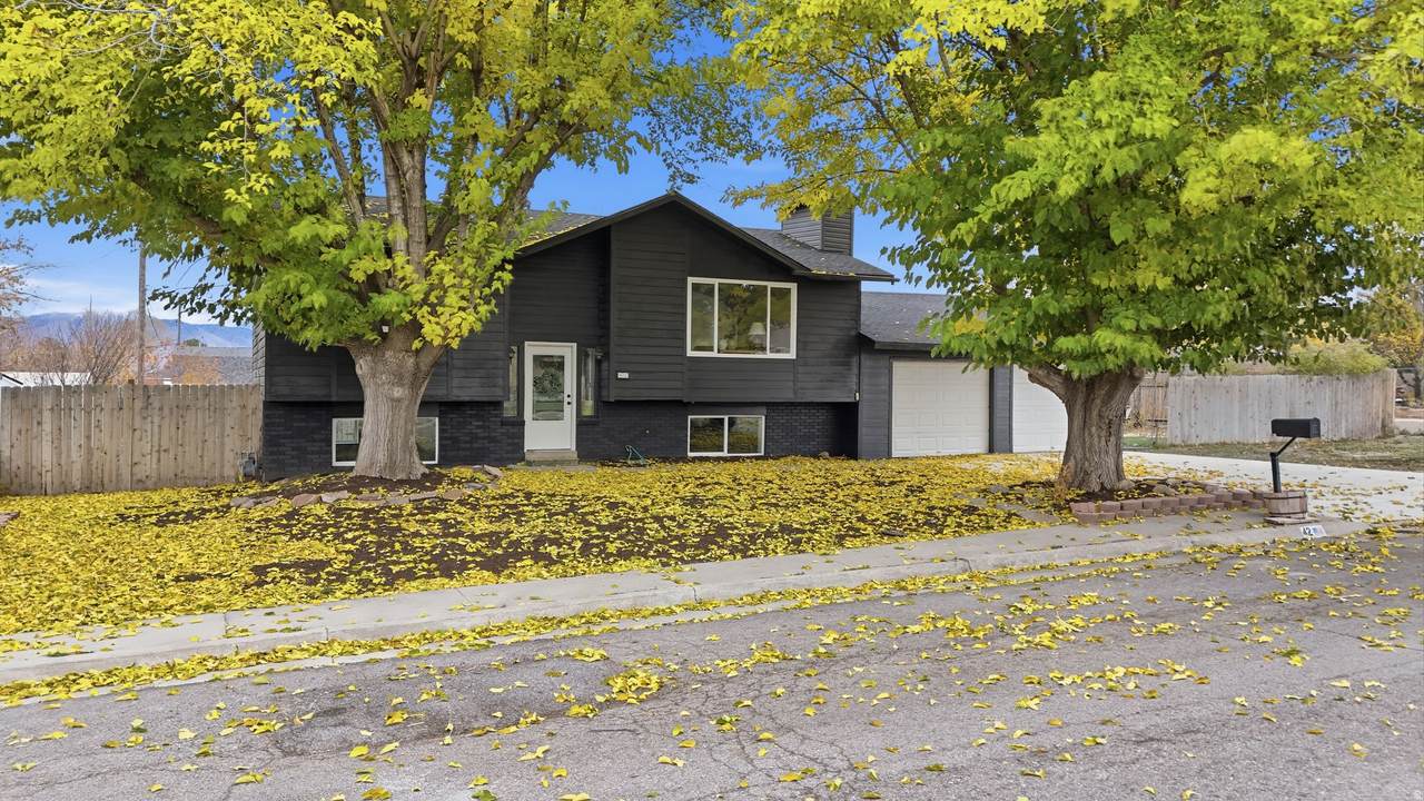 42 Blaine Ave - Photo 1