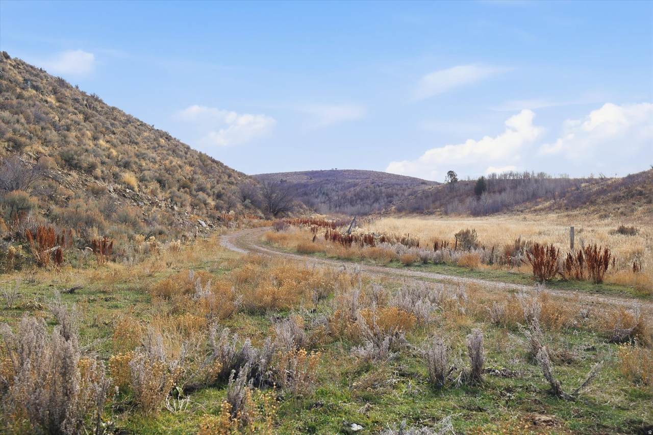 https://bt-photos.global.ssl.fastly.net/wasatch/1280_boomver_1_2124159-1.jpg