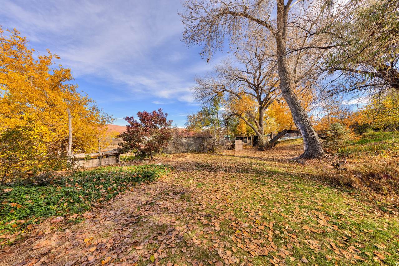 1431 Millcreek Dr - Photo 1