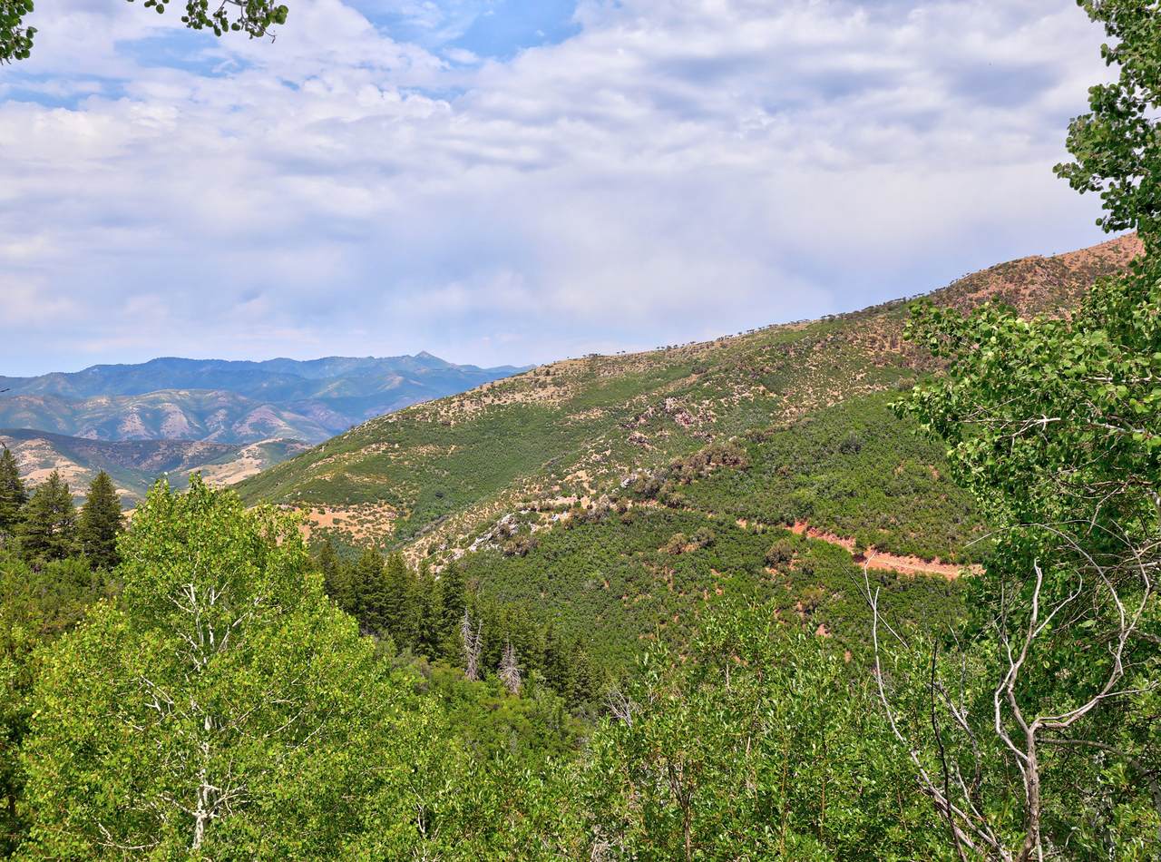 https://bt-photos.global.ssl.fastly.net/wasatch/1280_boomver_1_2128667-1.jpg