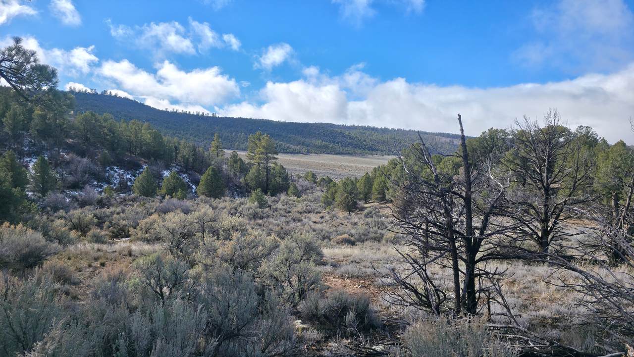 https://bt-photos.global.ssl.fastly.net/wasatch/orig_boomver_1_2128682-1.jpg