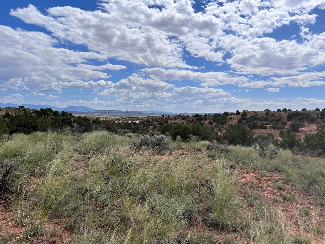 https://bt-photos.global.ssl.fastly.net/wasatch/1280_boomver_1_2128948-1.jpg