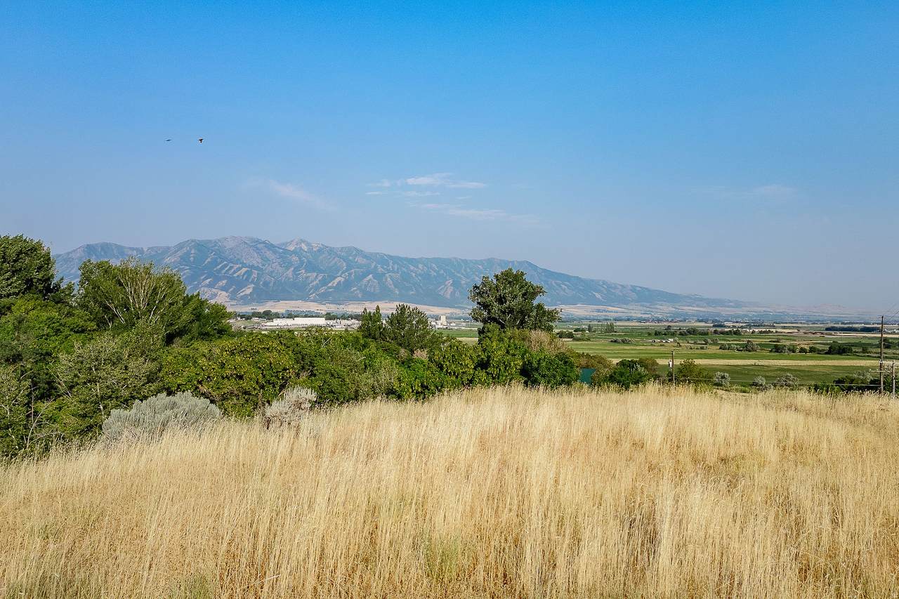https://bt-photos.global.ssl.fastly.net/wasatch/1280_boomver_1_2128954-1.jpg