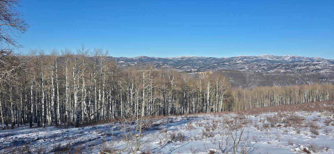  Address Not Published - Photo 1