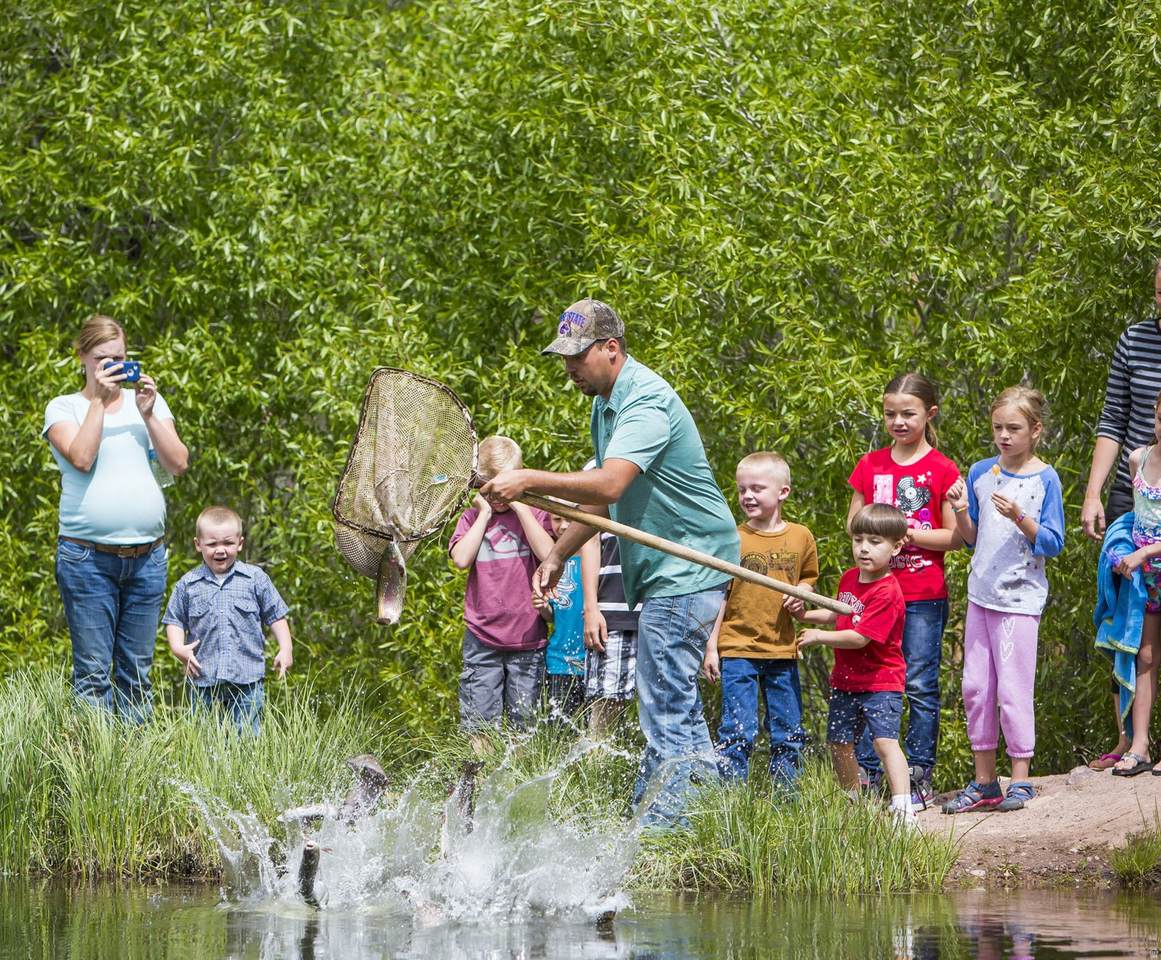 5866 Mirror Lake Hwy - Photo 1