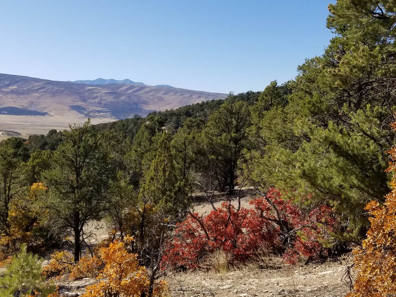  Address Not Published - Photo 1