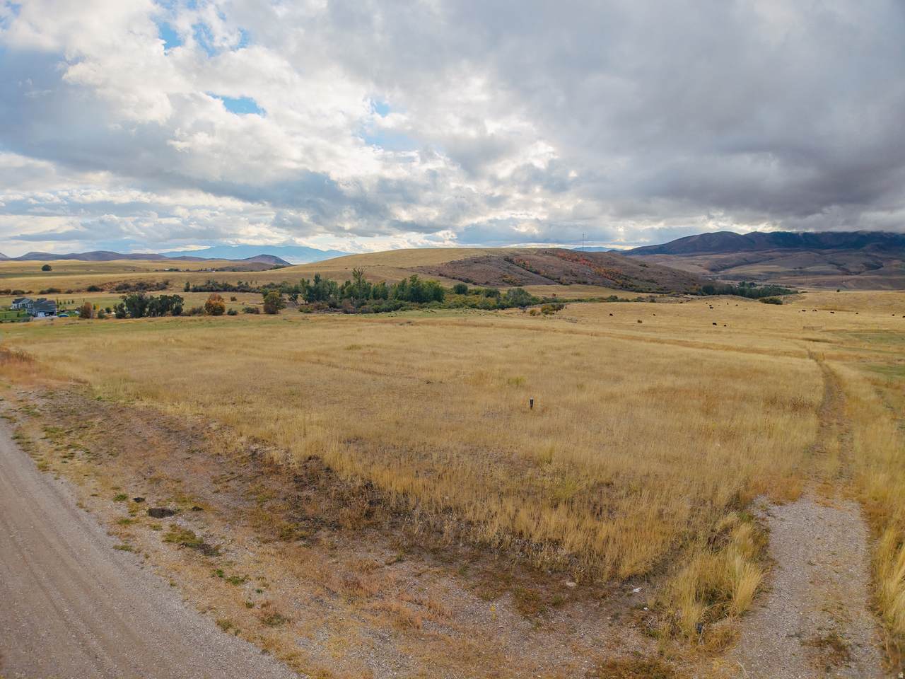 6550 Country Estates Ln - Photo 1