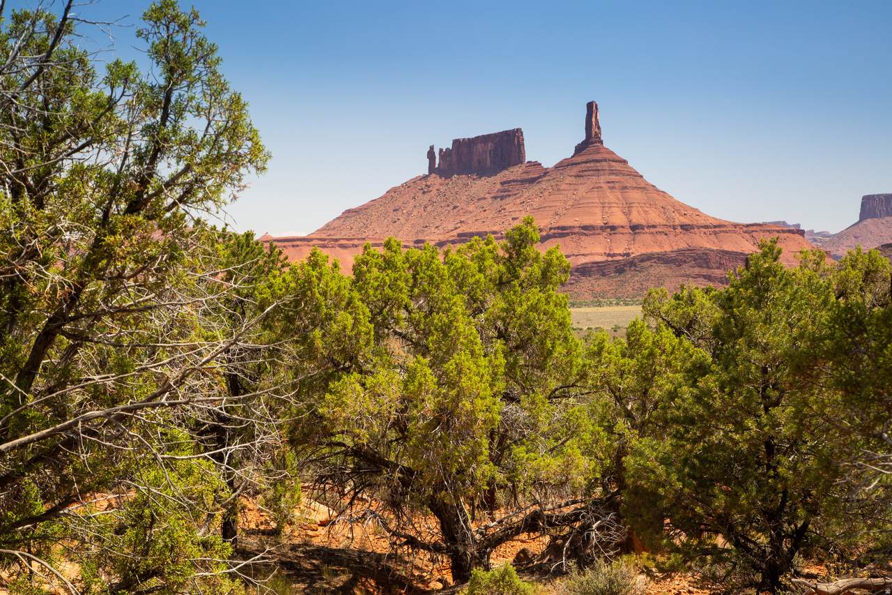 343 Taylor Ln - Photo 1