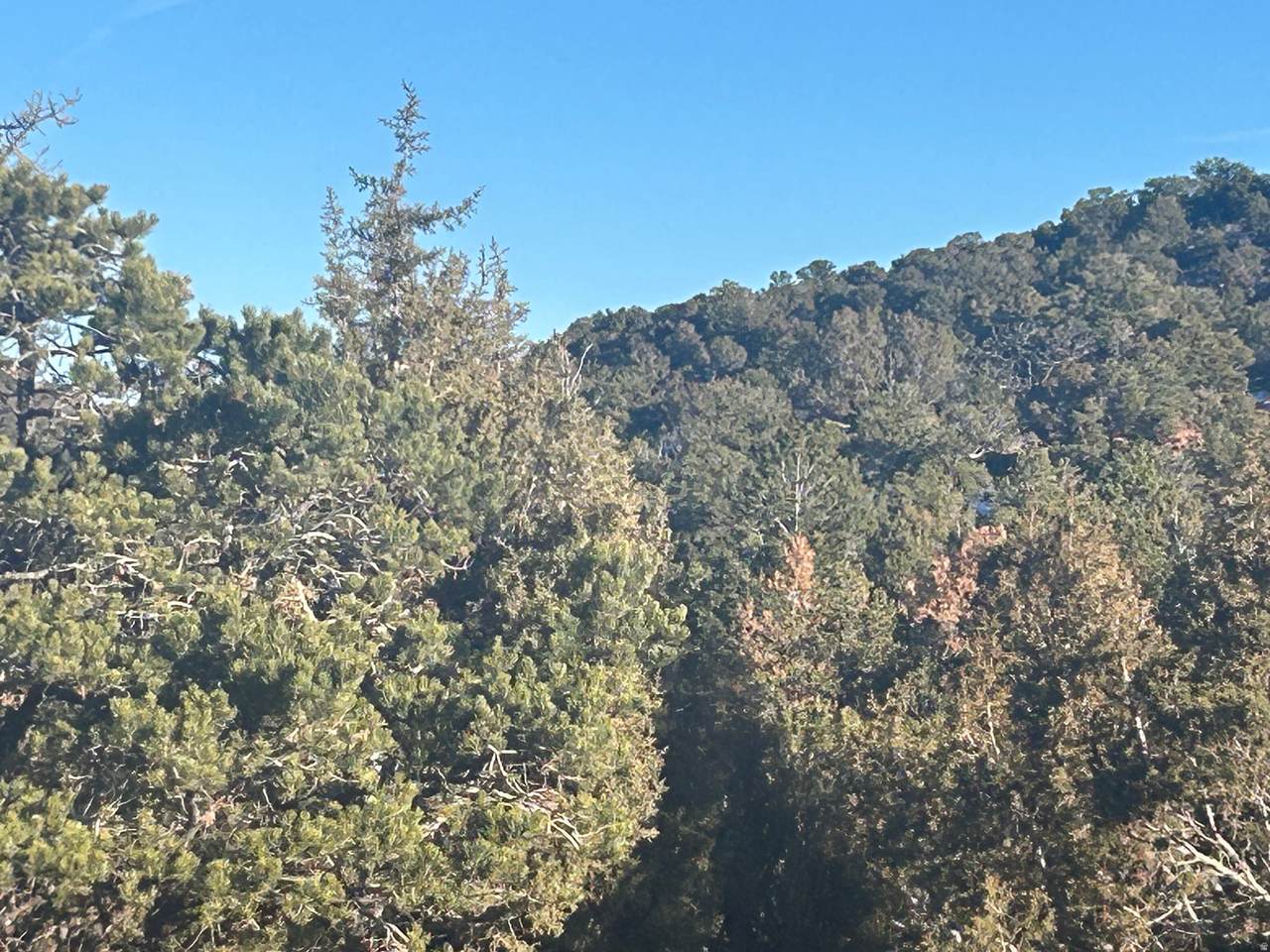  Address Not Published - Photo 1