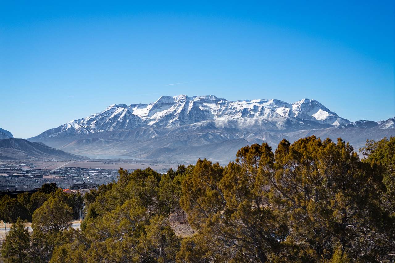 2898 La Sal Peak Dr - Photo 1