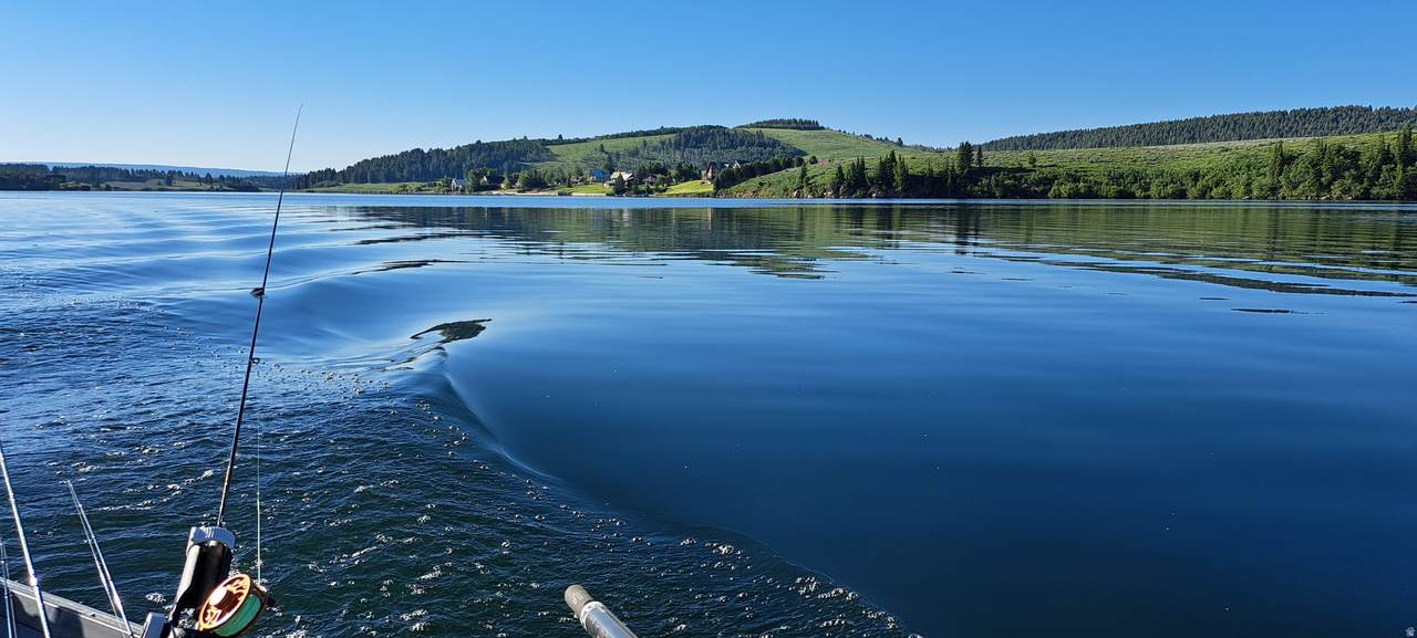 https://bt-photos.global.ssl.fastly.net/wasatch/1280_boomver_1_2133640-1.jpg