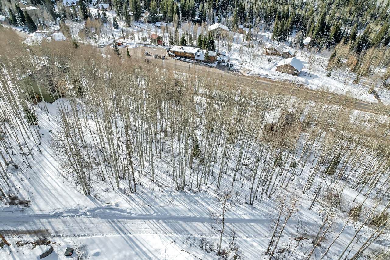 11312 Mule Hollow Ln - Photo 1