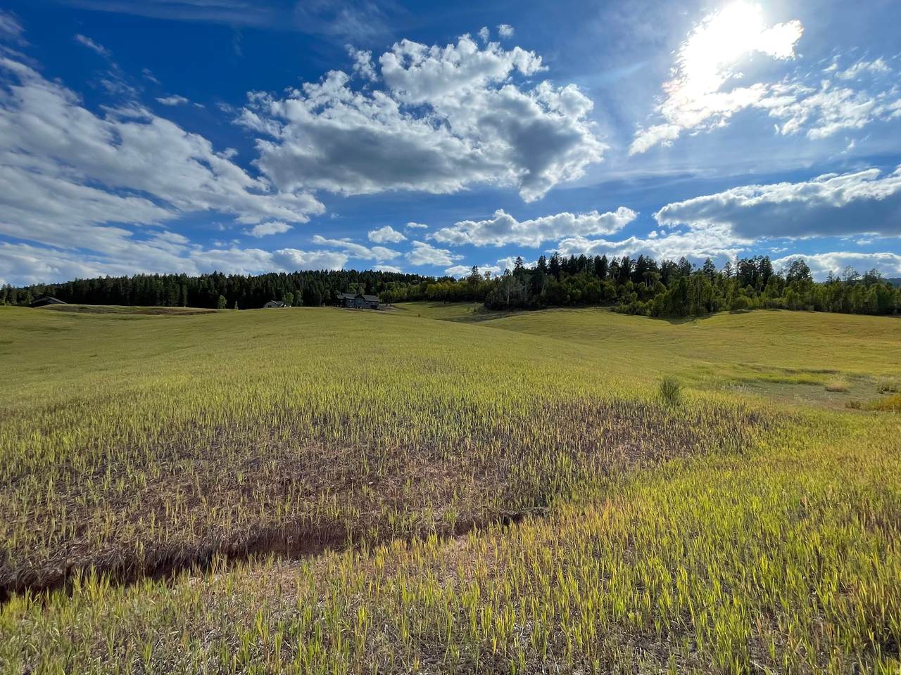 46 Elk Watch Ln - Photo 1