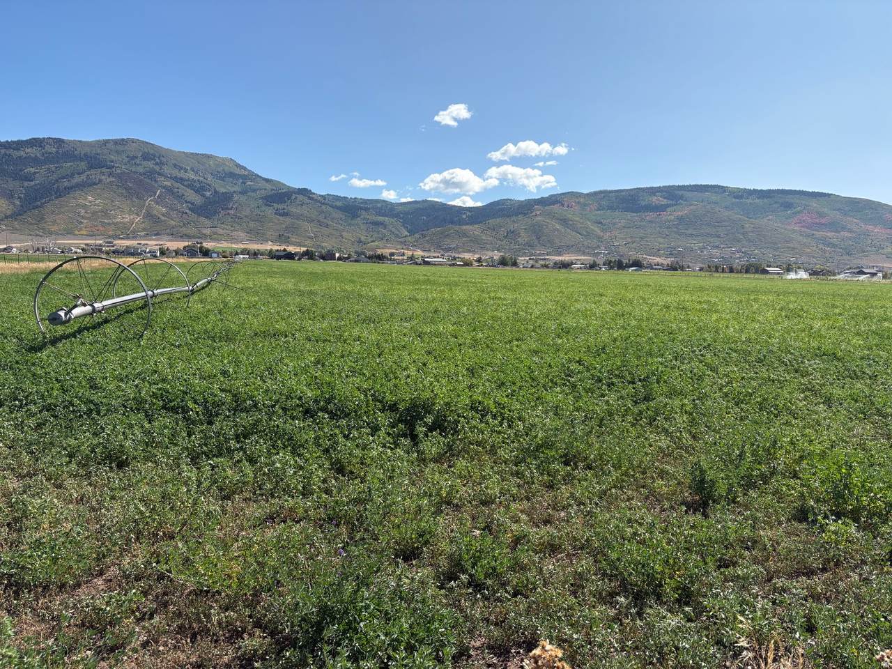  3001 N STATE ROAD 32 - Photo 1