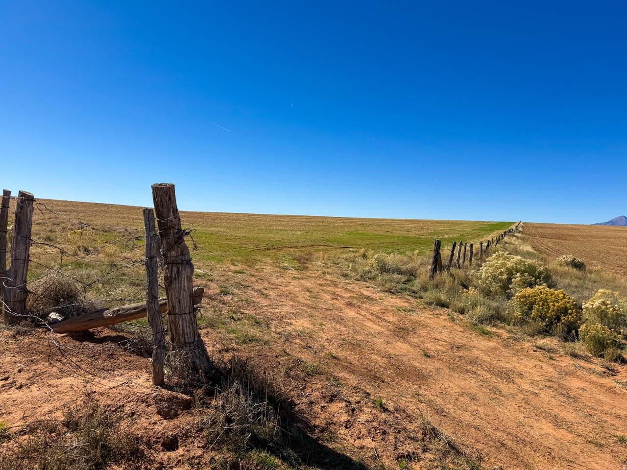 100 Pearson Cutoff Rd - Photo 1