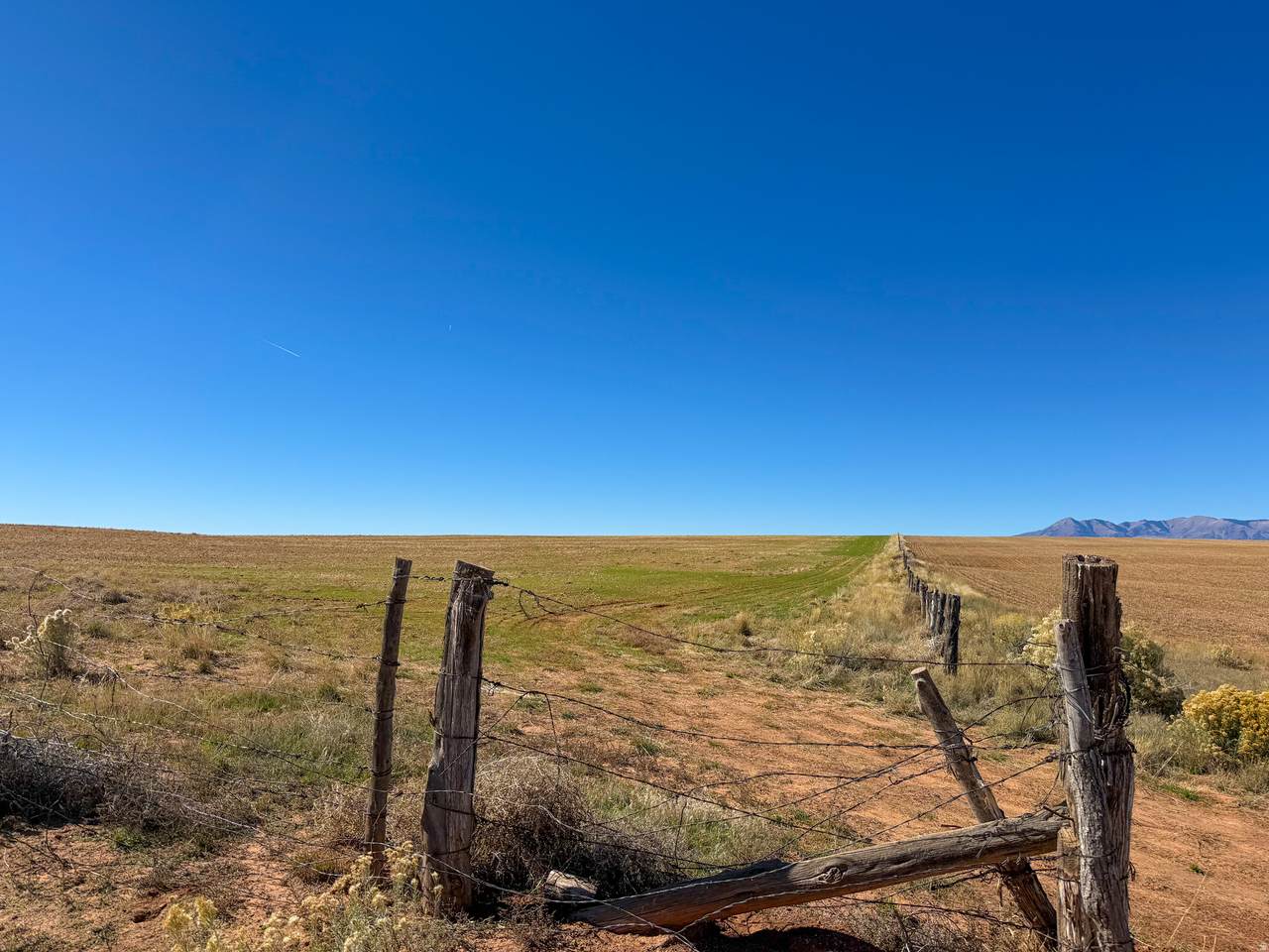 https://bt-photos.global.ssl.fastly.net/wasatch/1280_boomver_1_2135174-1.jpg
