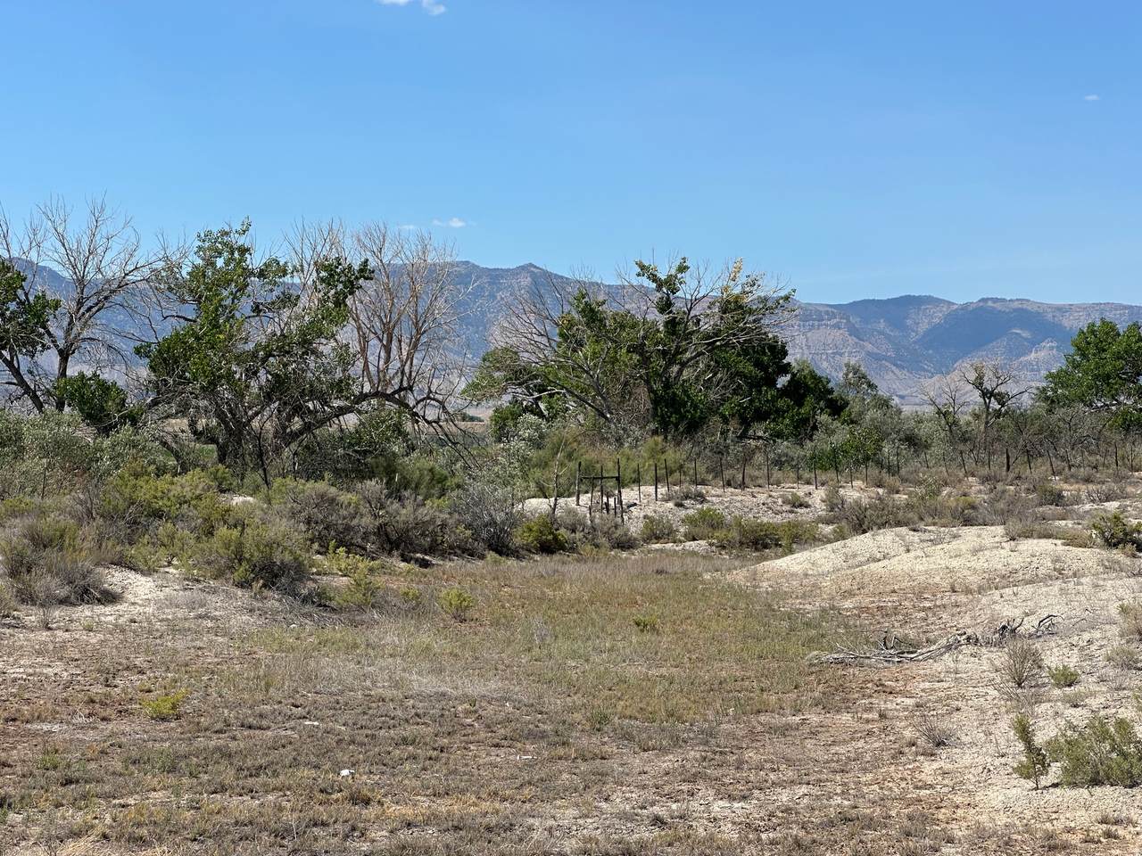 3250 State Road 155 - Photo 1