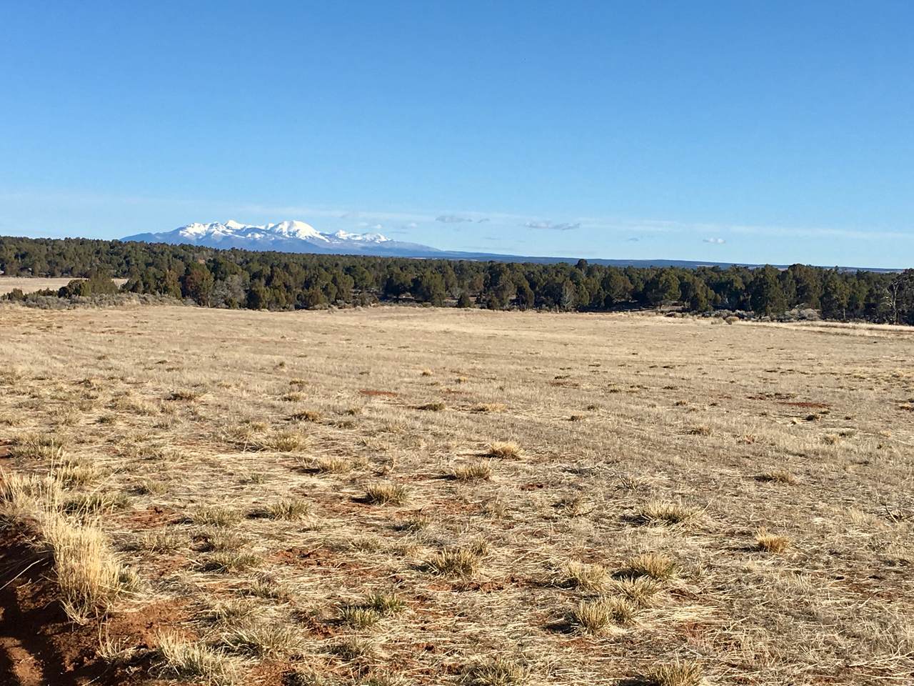259 Old Hwy - Photo 1