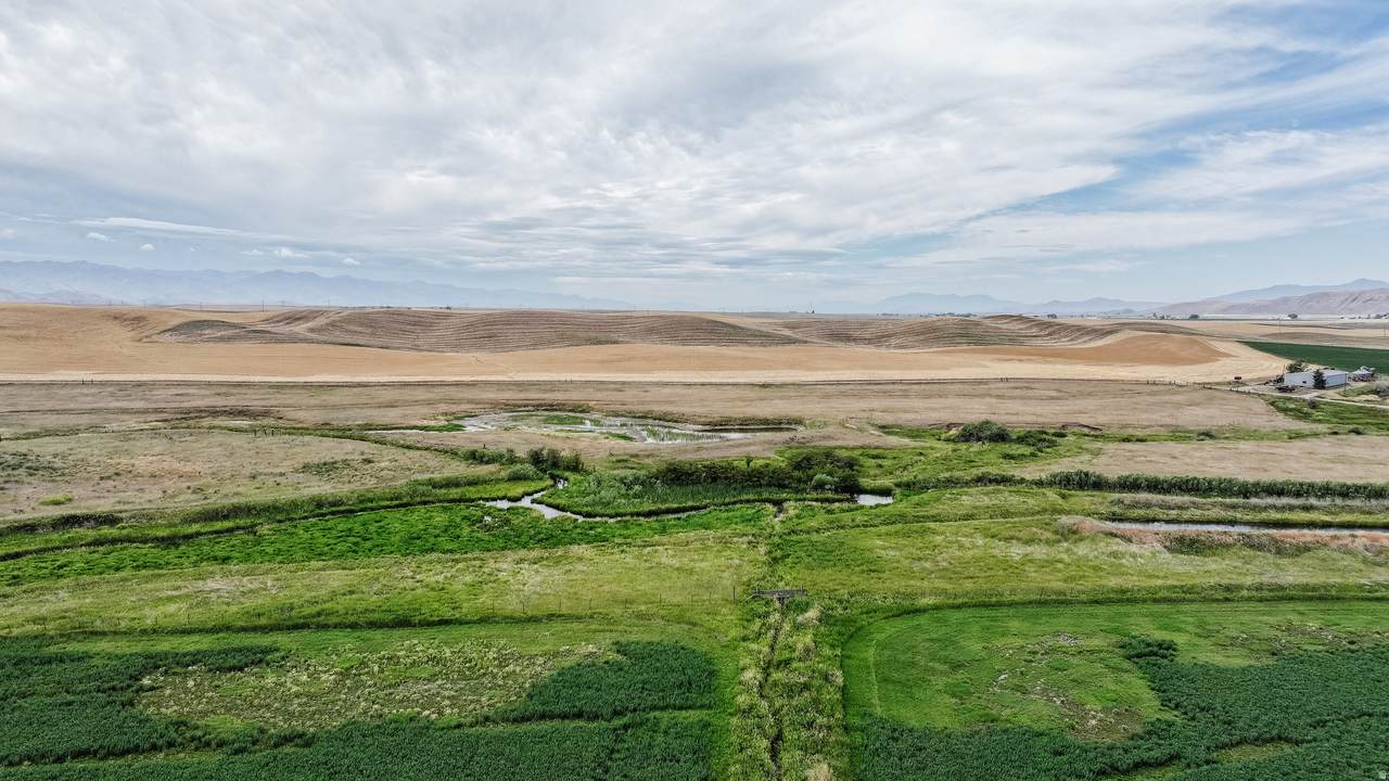 https://bt-photos.global.ssl.fastly.net/wasatch/1280_boomver_1_2136567-1.jpg