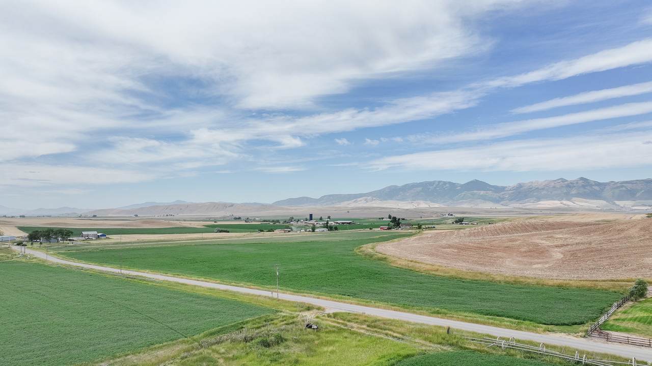 https://bt-photos.global.ssl.fastly.net/wasatch/1280_boomver_1_2136567-1.jpg