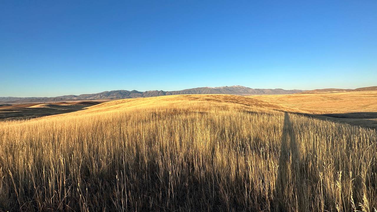 https://bt-photos.global.ssl.fastly.net/wasatch/1280_boomver_1_2136581-1.jpg