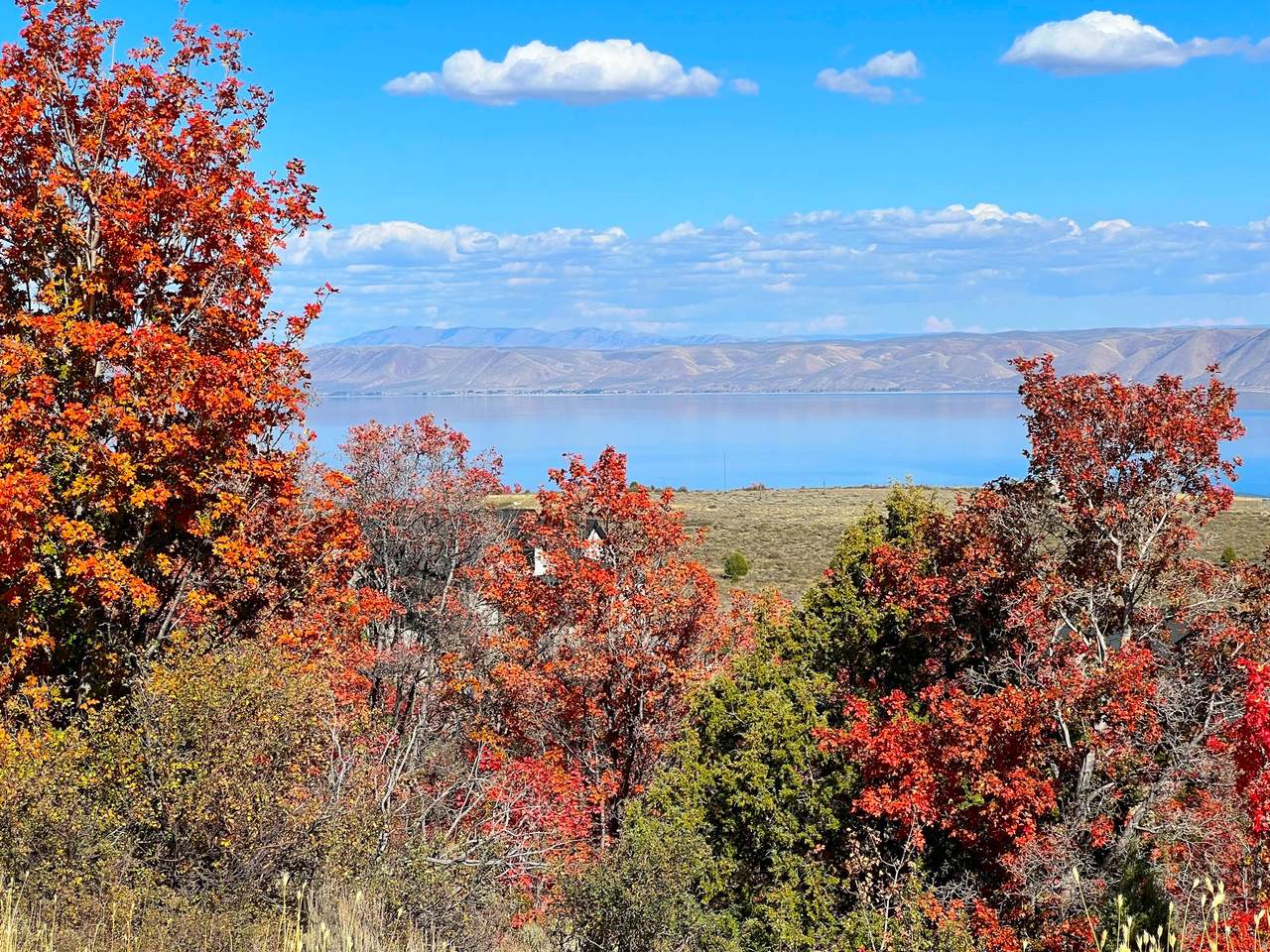 https://bt-photos.global.ssl.fastly.net/wasatch/1280_boomver_1_2136620-1.jpg