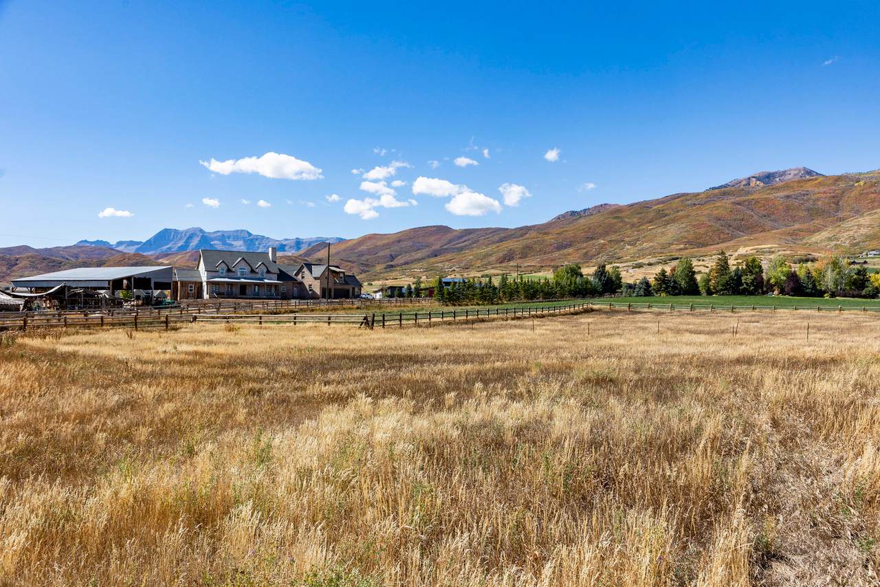 https://bt-photos.global.ssl.fastly.net/wasatch/1280_boomver_1_2137258-1.jpg