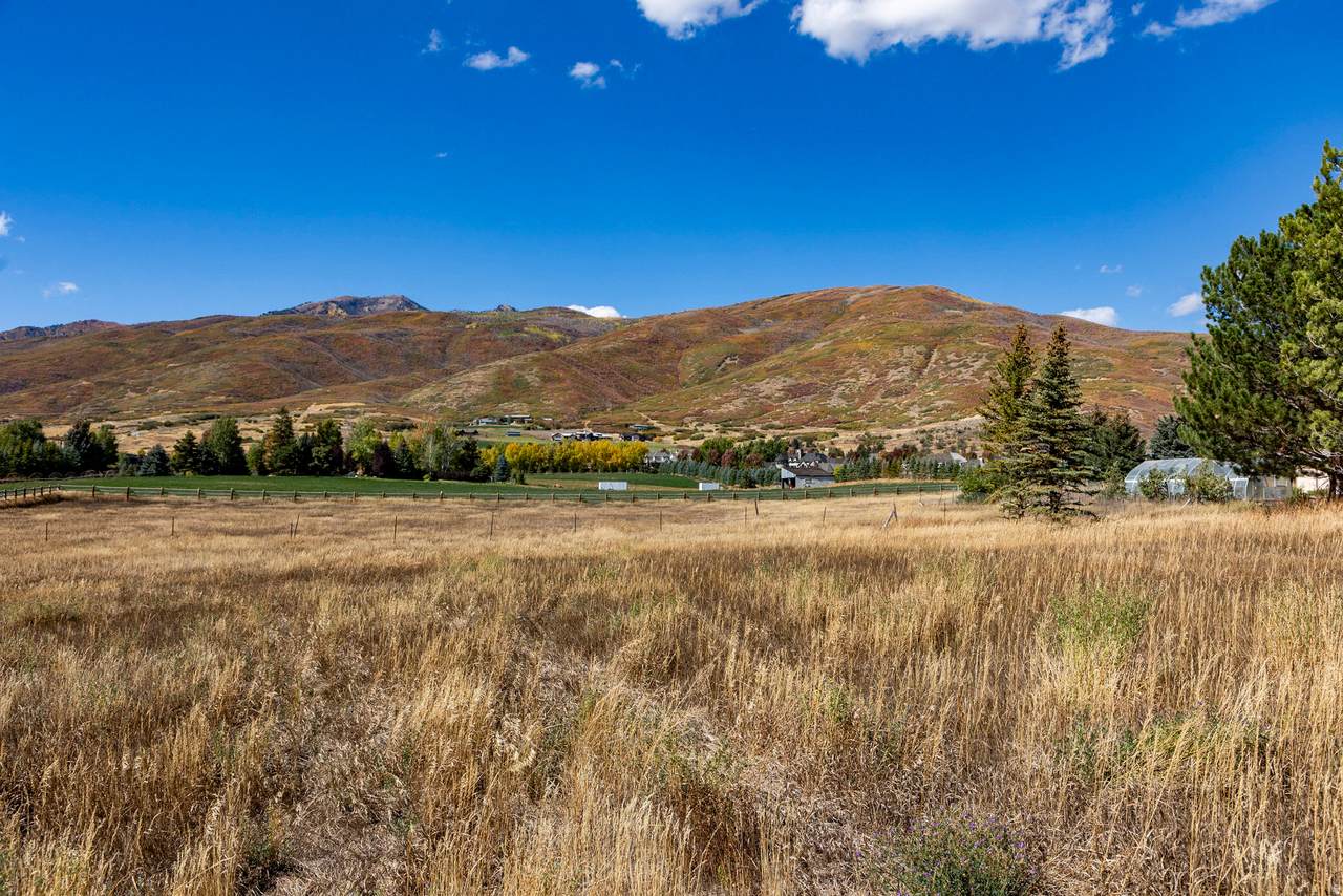 https://bt-photos.global.ssl.fastly.net/wasatch/1280_boomver_1_2137258-1.jpg
