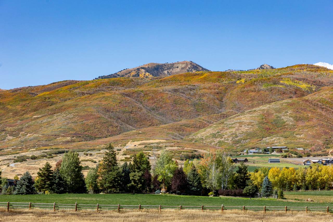 https://bt-photos.global.ssl.fastly.net/wasatch/1280_boomver_1_2137258-1.jpg