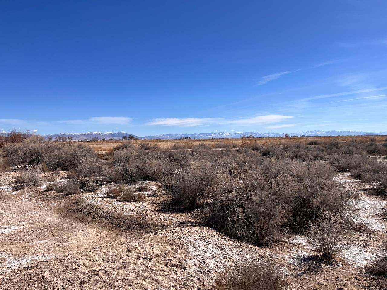 https://bt-photos.global.ssl.fastly.net/wasatch/orig_boomver_1_2138269-1.jpg