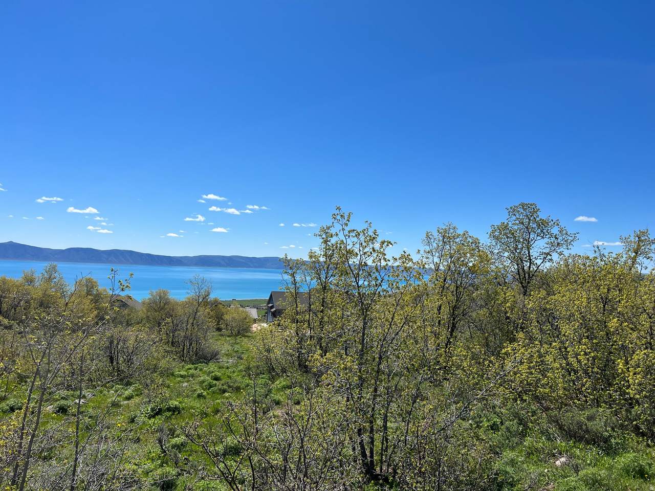 https://bt-photos.global.ssl.fastly.net/wasatch/1280_boomver_1_2139054-1.jpg