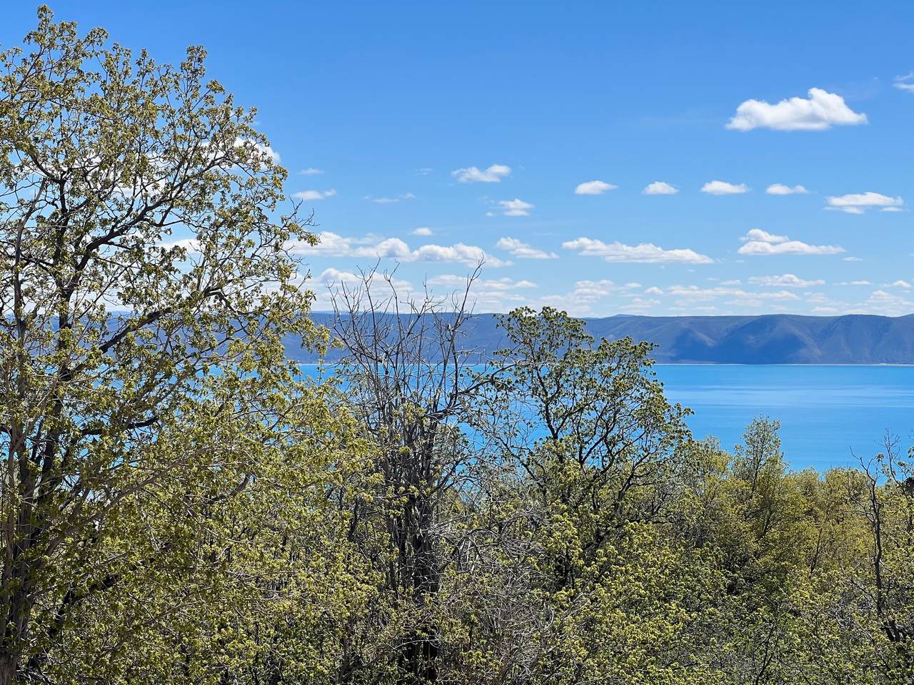https://bt-photos.global.ssl.fastly.net/wasatch/1280_boomver_1_2139054-1.jpg
