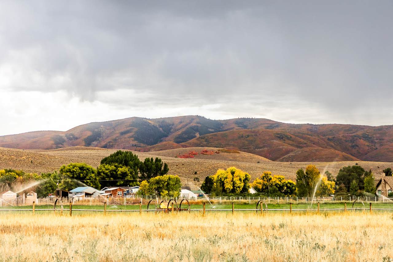 https://bt-photos.global.ssl.fastly.net/wasatch/1280_boomver_1_2139579-1.jpg