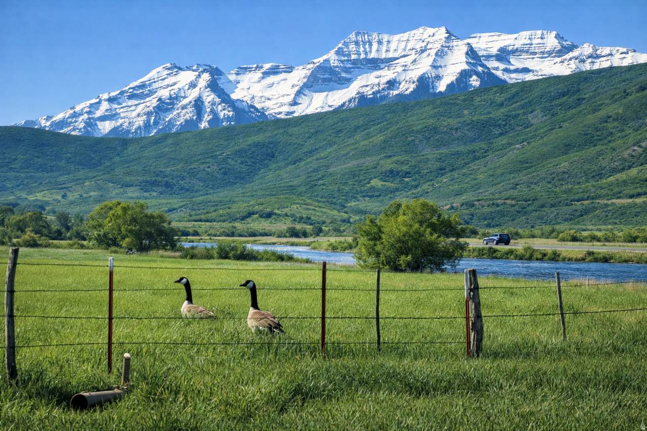 https://bt-photos.global.ssl.fastly.net/wasatch/1280_boomver_1_2140140-1.jpg