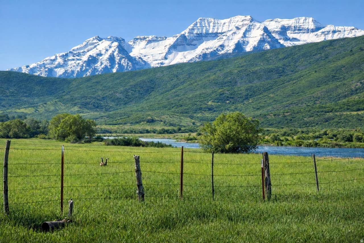 https://bt-photos.global.ssl.fastly.net/wasatch/1280_boomver_1_2140140-1.jpg