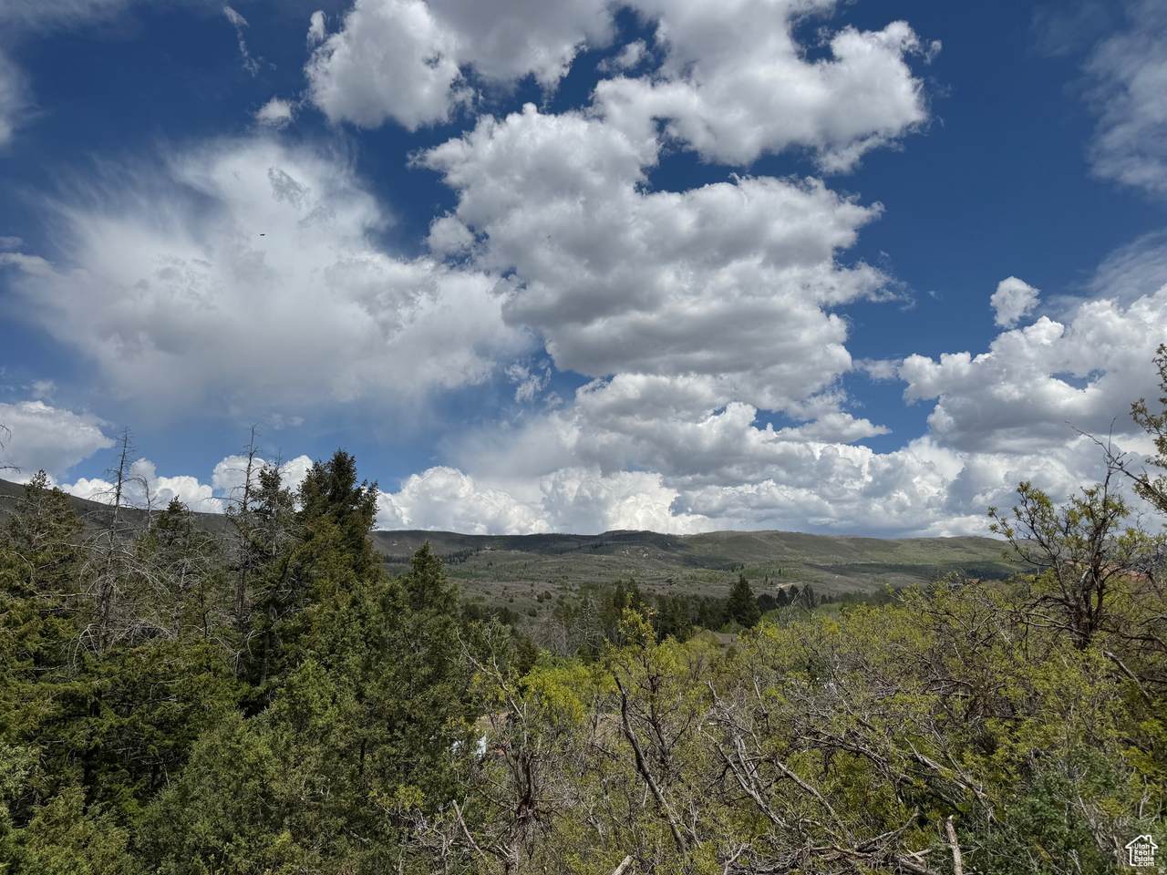 https://bt-photos.global.ssl.fastly.net/wasatch/1280_boomver_1_2140435-1.jpg
