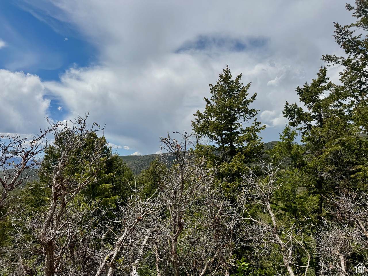 https://bt-photos.global.ssl.fastly.net/wasatch/1280_boomver_1_2140435-1.jpg