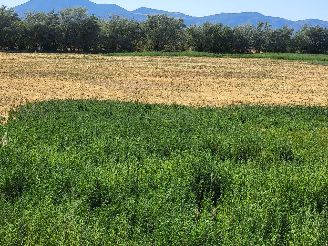 14900 11130 - Photo 1