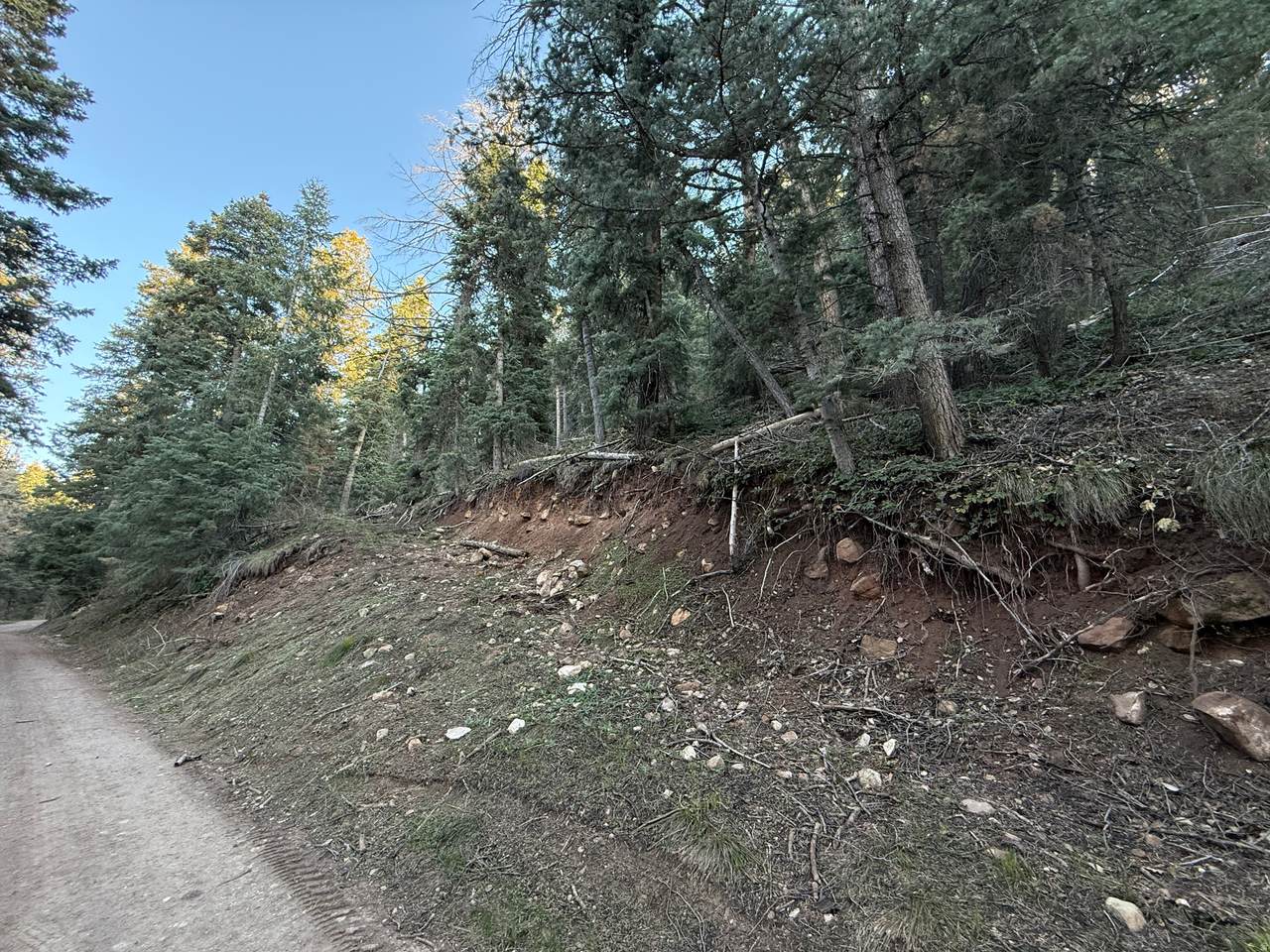 https://bt-photos.global.ssl.fastly.net/wasatch/1280_boomver_1_2140972-1.jpg