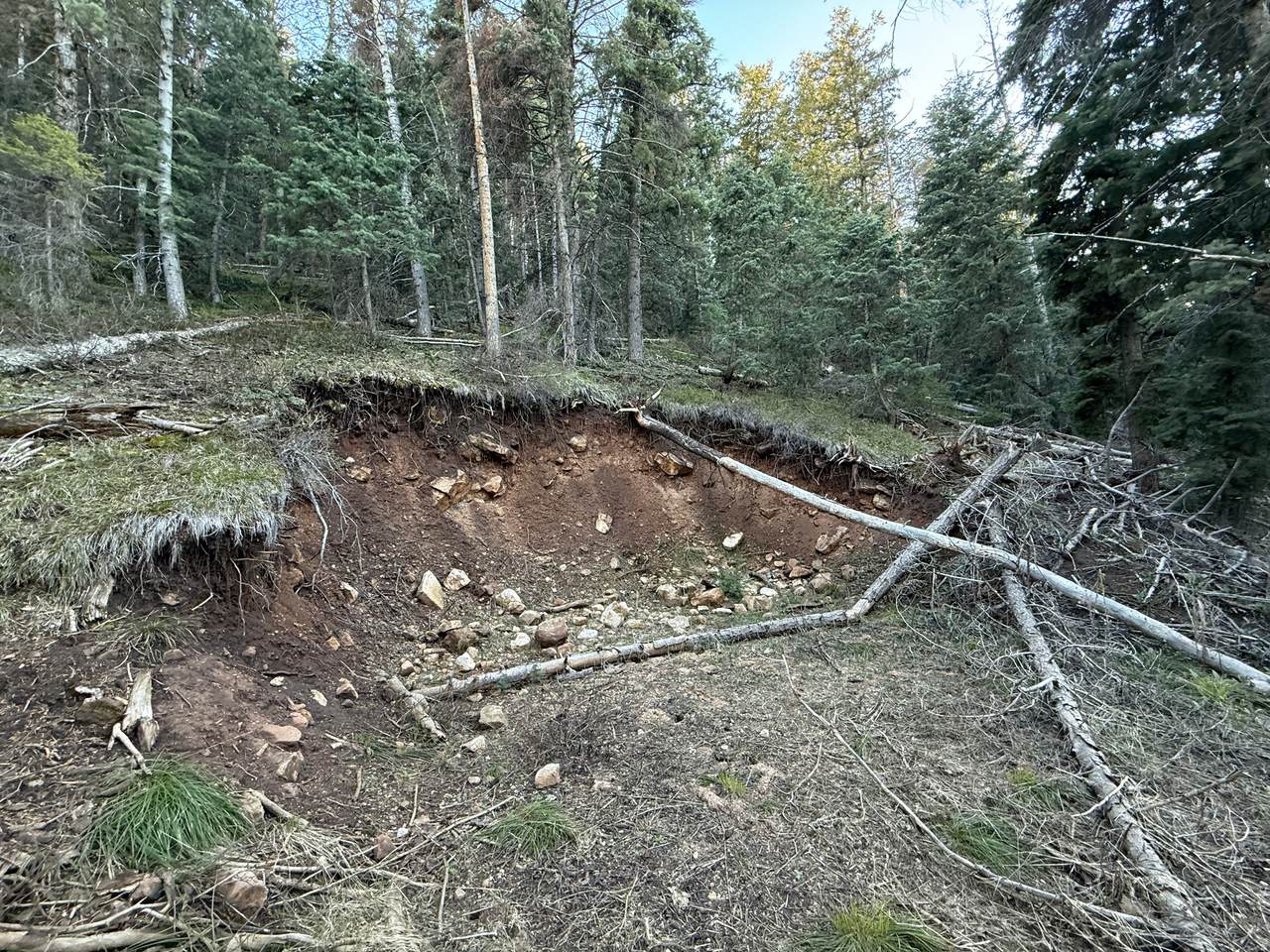 https://bt-photos.global.ssl.fastly.net/wasatch/1280_boomver_1_2140972-1.jpg